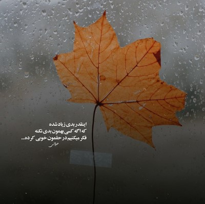 اپیکور وانت وانت میلاد دوست مامانت